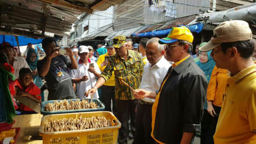 Gubri Tinjau Pasar Ikan di Inhil